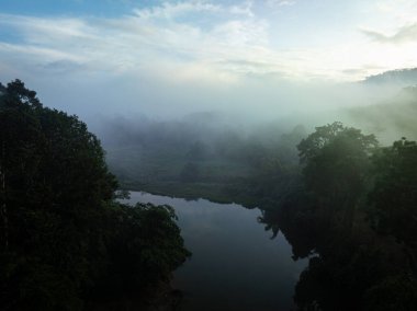 Hava manzarası sisli tropikal yeşil yağmur ormanı nehir doğası manzaralı.