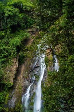 Yeşil tropikal ormanın derinliklerindeki yağmur mevsiminde şelale