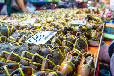 Canlı deniz yengeci geleneksel balıkçılık pazarında satılıyor
