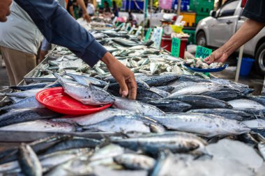 İnsanlar deniz ürünleri geleneksel balıkçılık pazarı gıda endüstrisini elde tutuyorlar.