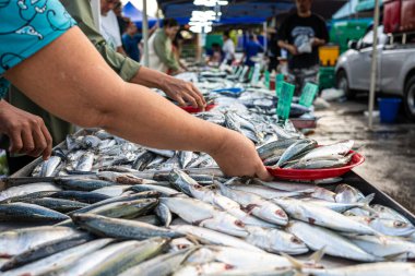 İnsanlar deniz ürünleri geleneksel balıkçılık pazarı gıda endüstrisini elde tutuyorlar.