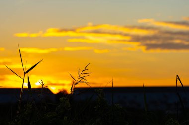 Şehir arka planında bulutlu renkli günbatımı gökyüzü