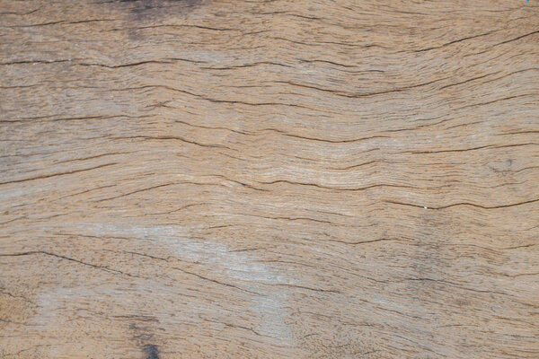 Wood texture with natural pattern