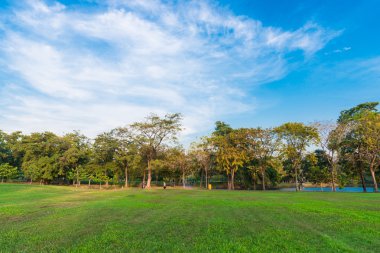 Mavi gökyüzü ile park güneşli bir günde