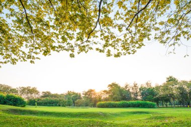 Mavi gökyüzü ile park güneşli bir günde