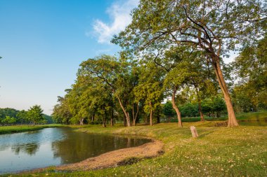 Mavi gökyüzü ile park güneşli bir günde
