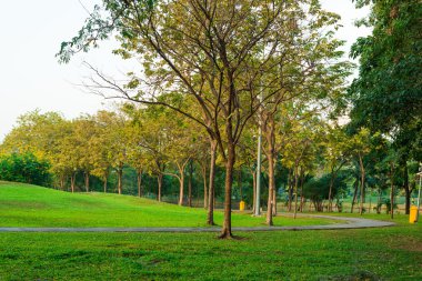 Mavi gökyüzü ile park güneşli bir günde