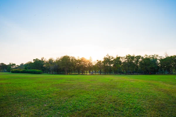 Journée ensoleillée dans le parc avec ciel bleu — Photo