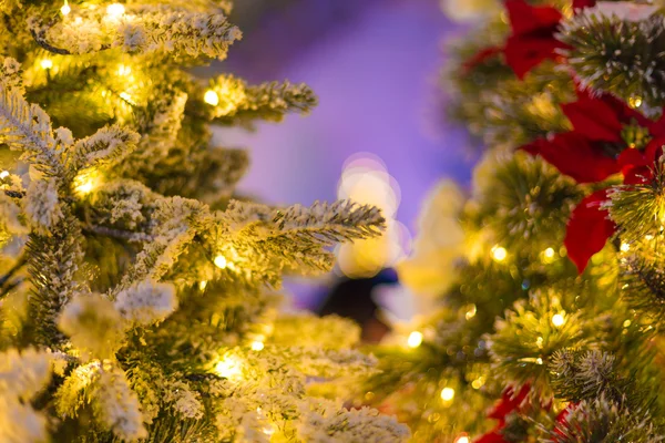 Closeup της χριστουγεννιάτικο δέντρο τη νύχτα — Φωτογραφία Αρχείου
