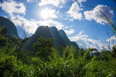 Yarı Alp Dağı'nın güzel manzara
