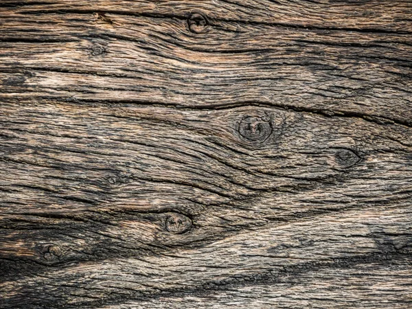 Latar Belakang Tekstur Kayu, Tanaman pohon — Stok Foto