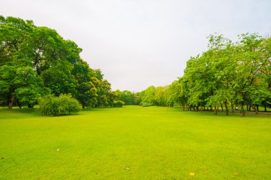 Yeşil çim park
