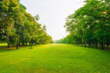 Şehir Parkı yeşil çim sahası ile