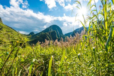 Dağ manzarası ile yeşil çim sahası