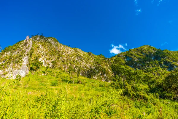 Berglandskap med grönt gräs fält — Stockfoto