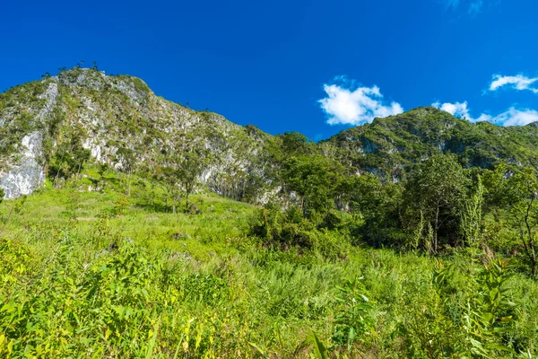 Paisaje de montaña con campo de hierba verde —  Fotos de Stock