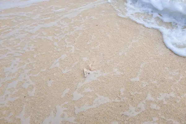 Beautiful white sand beach — Stock Photo, Image