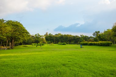 Central Park taze doğa 