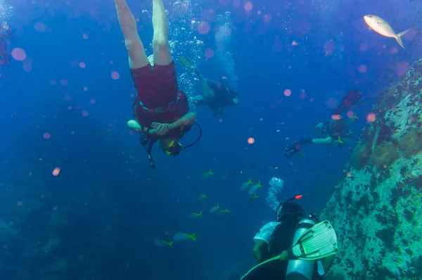 Taucher Blue Water Scuba Diving auf der Hai-Insel Koh Tao — Stockfoto