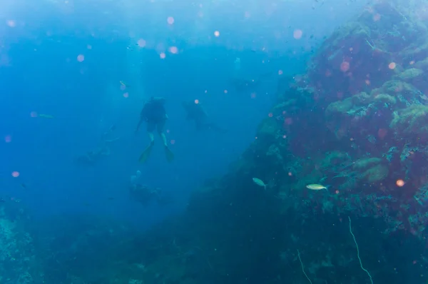 Buceador de agua azul buceo en la isla de tiburón de Koh tao — Foto de Stock