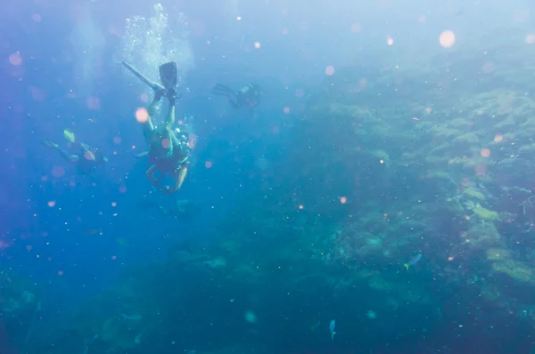 Buceador de agua azul buceo en la isla de tiburón de Koh tao — Foto de Stock