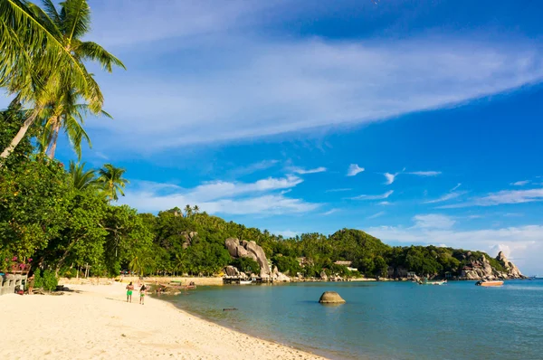 Schöner Inselstrand mit Kokospalmen bei Koh Tao — Stockfoto