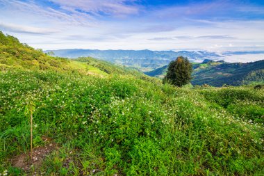 Sabah dağ manzarası