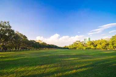 Mavi gökyüzü, yeşil ağaçlar Park ile Bahçe arka plan.
