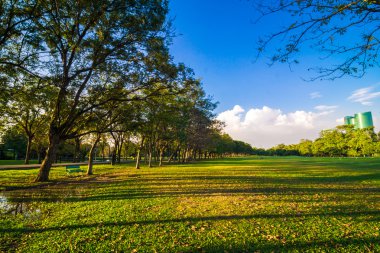 Mavi gökyüzü, yeşil ağaçlar Park ile Bahçe arka plan.