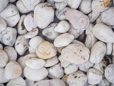 Deniz taşları arka plan