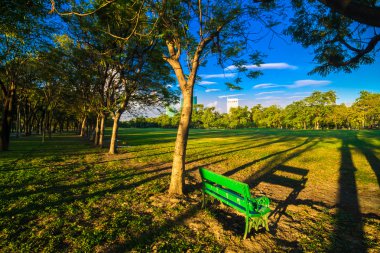 Central park yeşil park tezgah ışık gölge ile