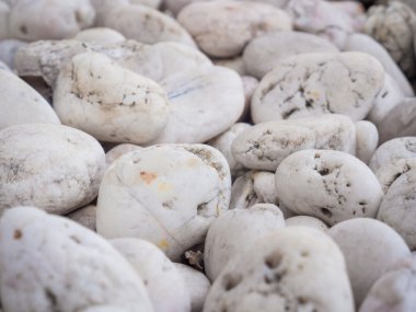 Deniz taşları arka plan