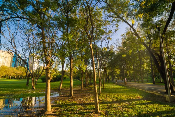 Jardín verde citypark — Foto de Stock