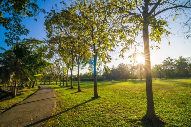 Kaldırıma park yeşil çim güneş ışığı ile