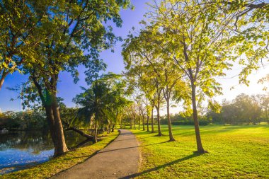 Kaldırıma park yeşil çim güneş ışığı ile