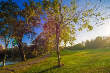 Kaldırıma park yeşil çim güneş ışığı, Green Park taş yolu ile