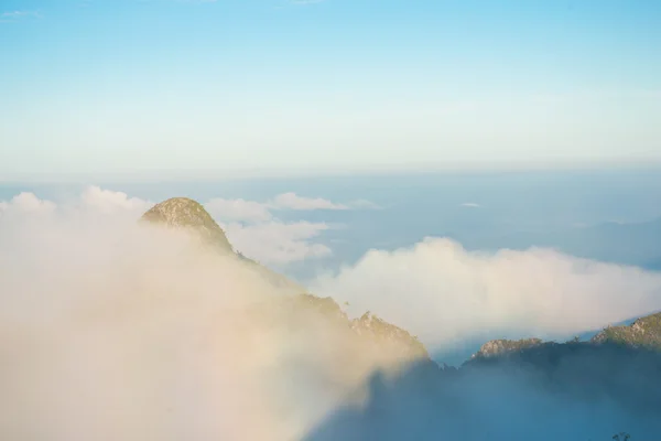 Peak Mountain Fog Morning Sub Alpine Forest — Stock Photo, Image