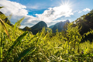 Dağ yeşil manzara renkli orman ile