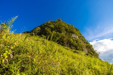 Dağlarda yaz peyzaj. Alt Alp Chiangdao Dağı'nda yeşil orman