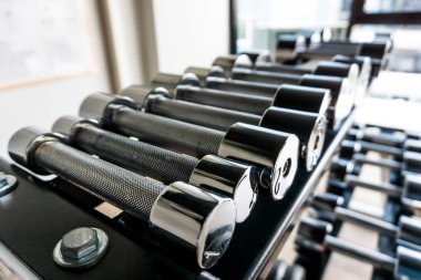 Spor salonunda bir sıra dambıl..