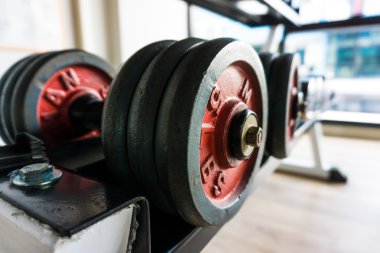 Dumbell ağırlık antrenmanı ekipmanı