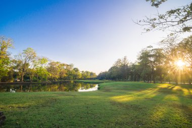 Yeşil ağaçların üzerinde akşam mavi gökyüzü güzel park