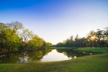 Yeşil ağaçların üzerinde akşam mavi gökyüzü güzel park