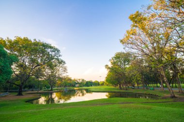 Güzel park ağaçları yeşil çim üzerinde mavi gökyüzü, yeşil yaz par