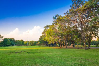 Güzel park ağaçları yeşil çim üzerinde mavi gökyüzü, yeşil yaz par