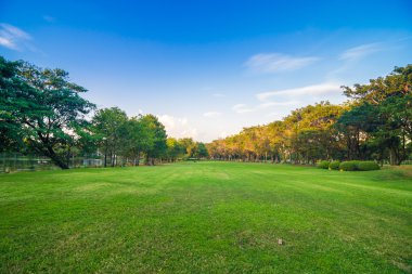 Güzel park ağaçları yeşil çim üzerinde mavi gökyüzü, yeşil yaz par