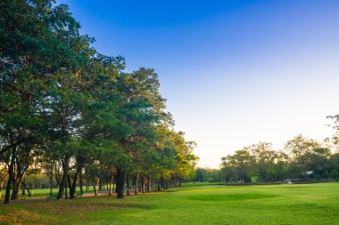Güzel park ağaçları yeşil çim üzerinde mavi gökyüzü, yeşil yaz par
