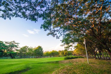 Güzel park ağaçları yeşil çim üzerinde mavi gökyüzü, yeşil yaz par