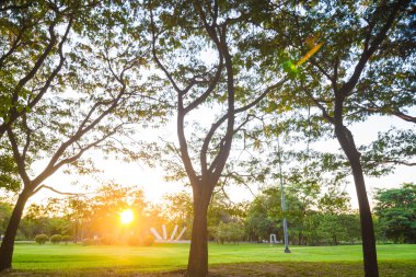 Güzel park ağaçları yeşil çim üzerinde mavi gökyüzü, yeşil yaz par