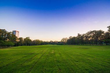 Güzel park ağaçları yeşil çim üzerinde mavi gökyüzü, yeşil yaz par